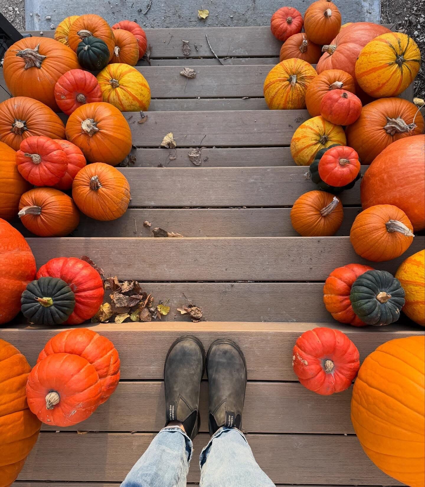 Specialty pumpkins — Cinderella, Jarrahdale, and Knucklehead — scattered on wooden steps.