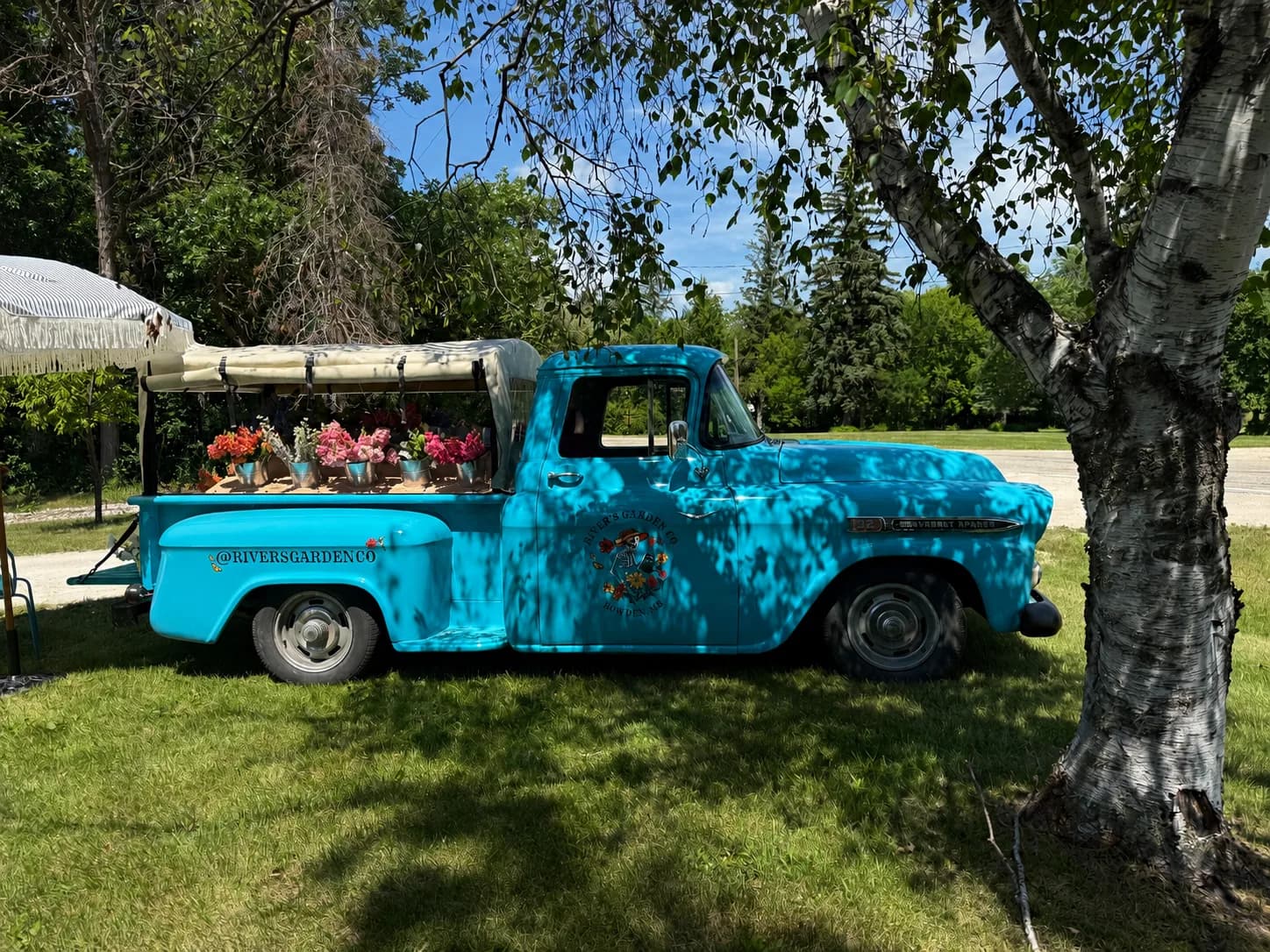 Side profile of the Flower Truck parked under a birch tree, showing the two-tone Tartan Turquoise and Bombay White paint.